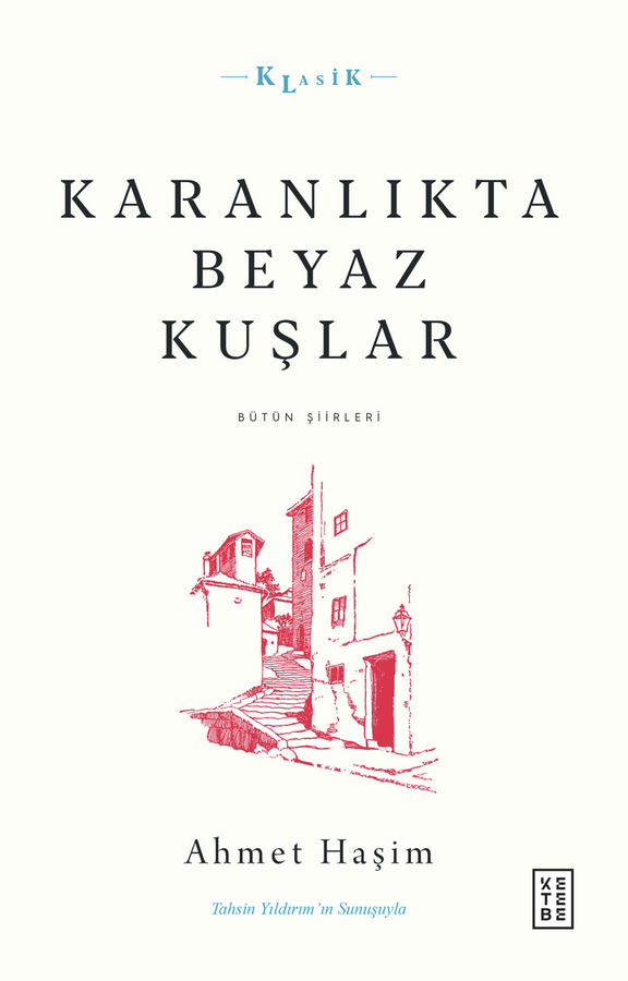 Karanlıkta Beyaz Kuşlar (Paperback)