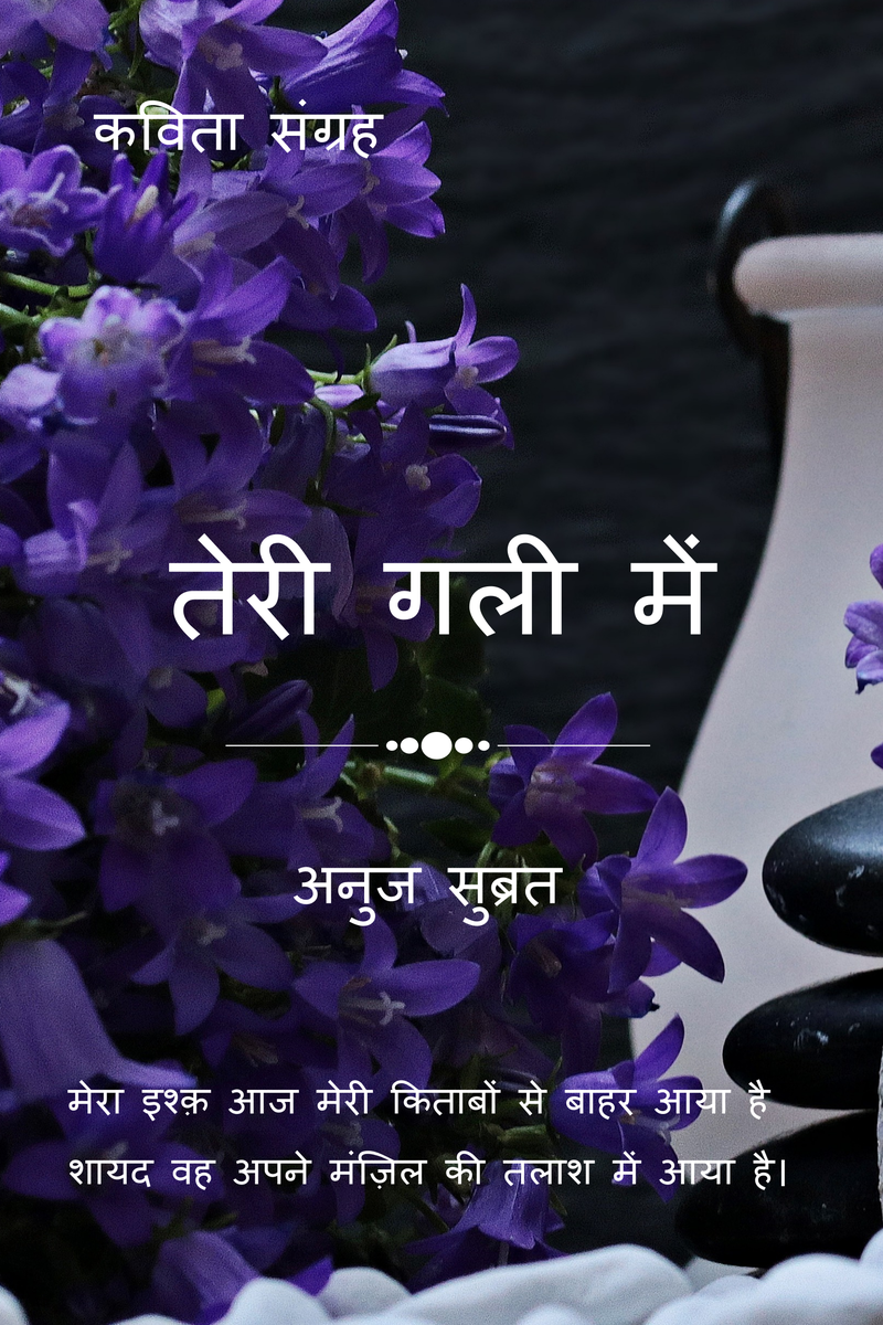 Teri gali me
