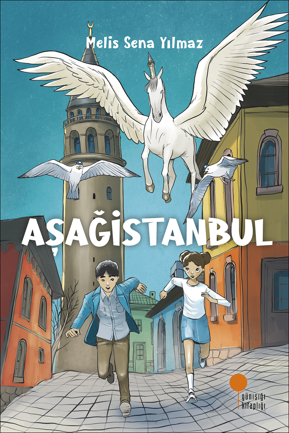 Aşağistanbul (Paperback)