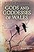 Pagan Portals - Gods and Goddesses of Wales: A Practical Introduction To Welsh Deities And Their Stories