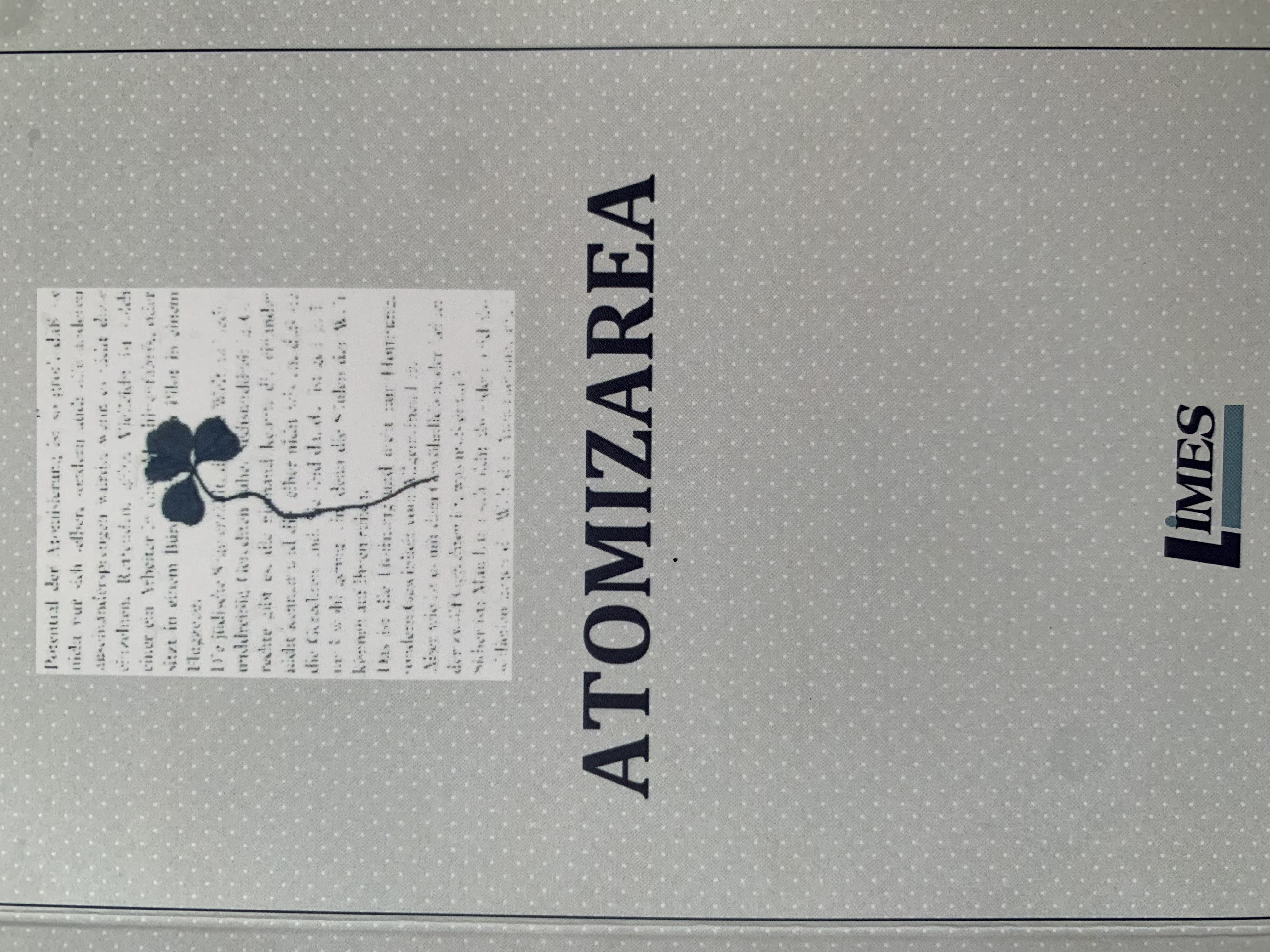 Atomizarea