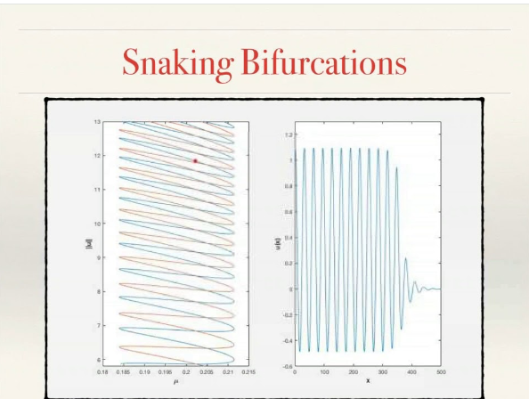 .Snaking bifurcations in higher space dimensions (Audiobook)