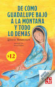 De cómo Guadalupe bajó a la montaña y todo lo demás (Paperback)