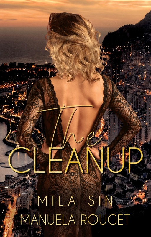 The Cleanup (The Cleanup, #1)