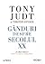 Ganduri despre secolul XX by Tony Judt
