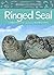 Animals Illustrated: Ringed Seals
