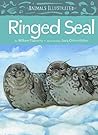 Animals Illustrated: Ringed Seals