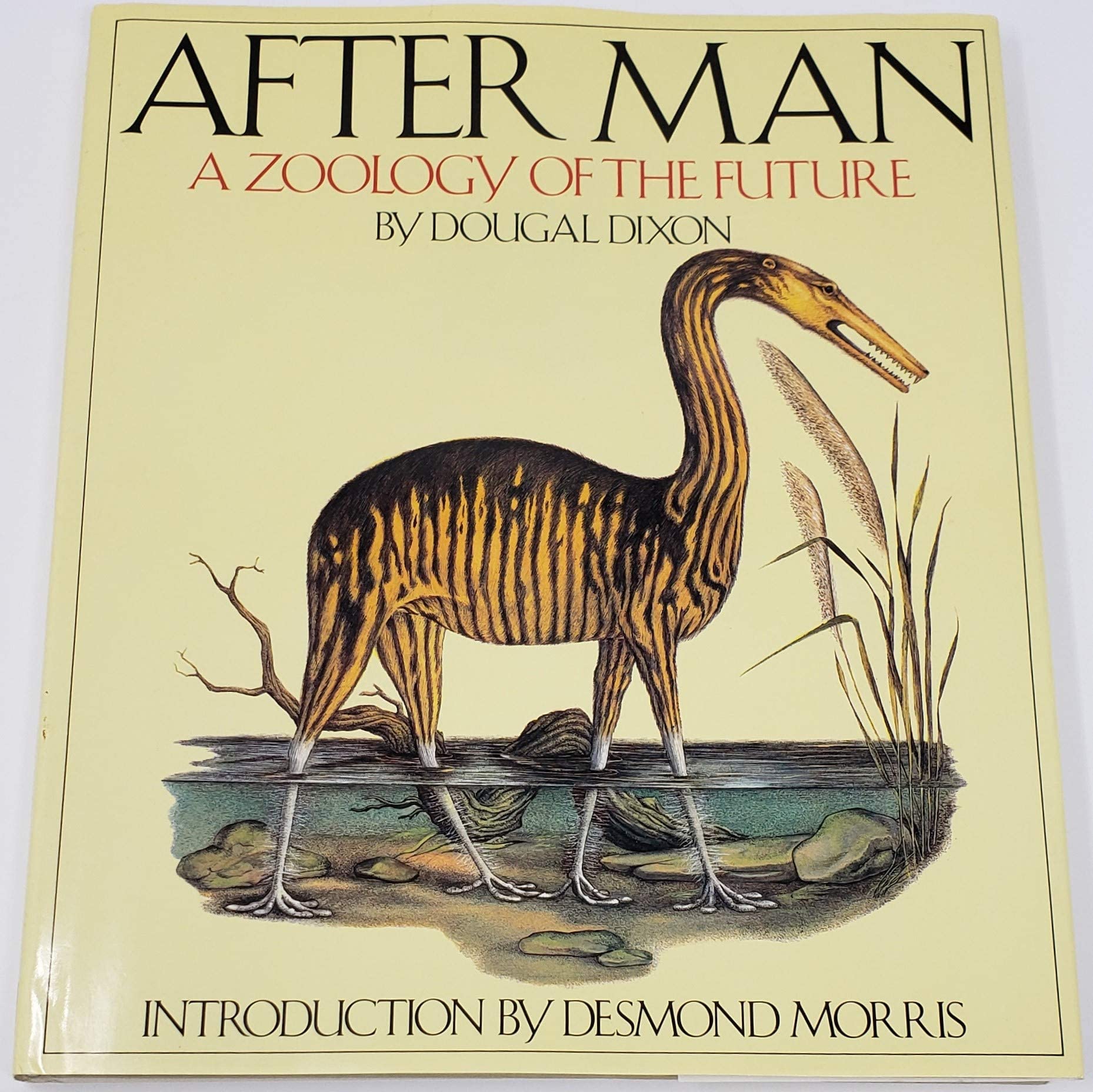 After Man: A Zoology of the Future