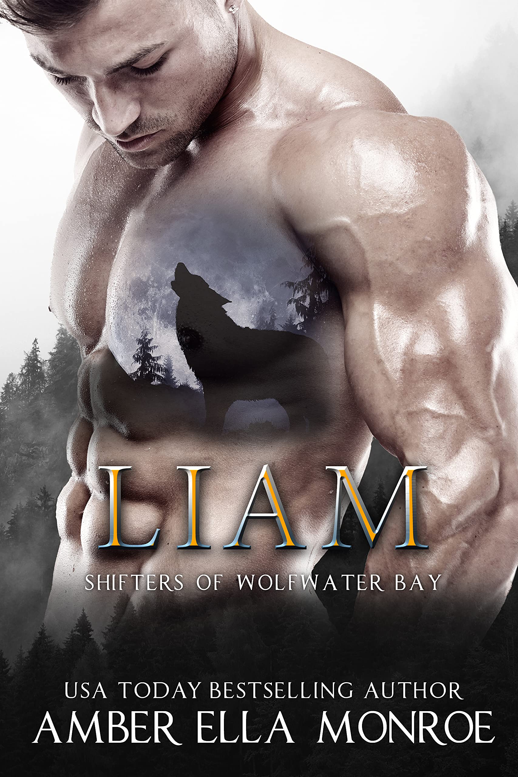 Liam: Shifters of Wolfwater Bay (Mate Marked Book 10)