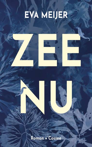 Zee nu (Paperback)