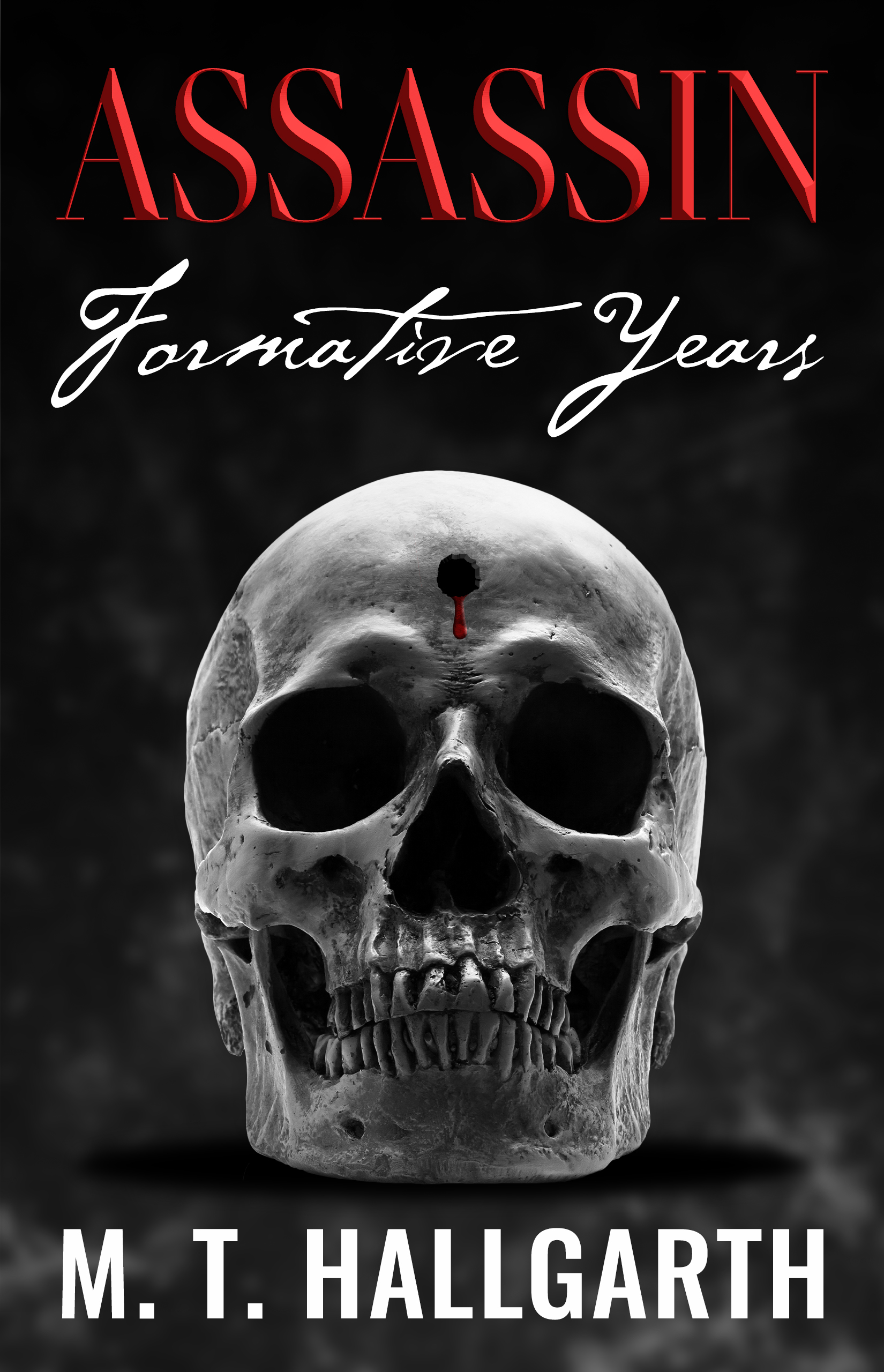 Assassin Formative Years (Book 1)