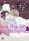 えっちなお尻じゃダメですか？【電子...
