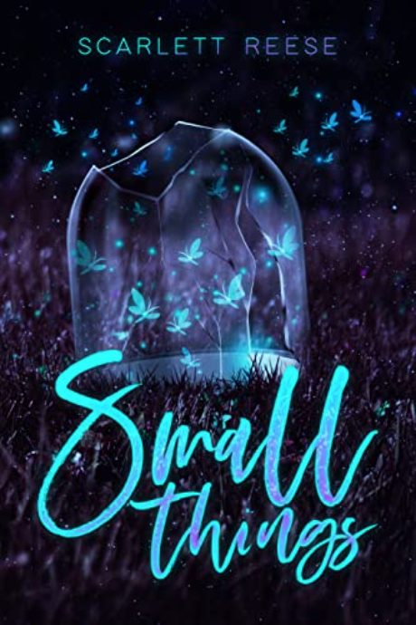 Small things (Kindle Edition)