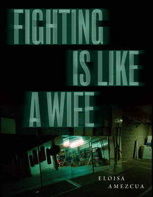 Fighting Is Like a Wife (Paperback)