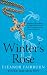 Winter's Rose