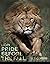 Lion: Pride Before The Fall