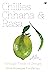 Chillies, Chhana, and Rasa:...