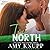 True North (North Brothers #1)