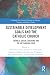Sustainable Development Goals and the Catholic Church by Katarzyna Cichos
