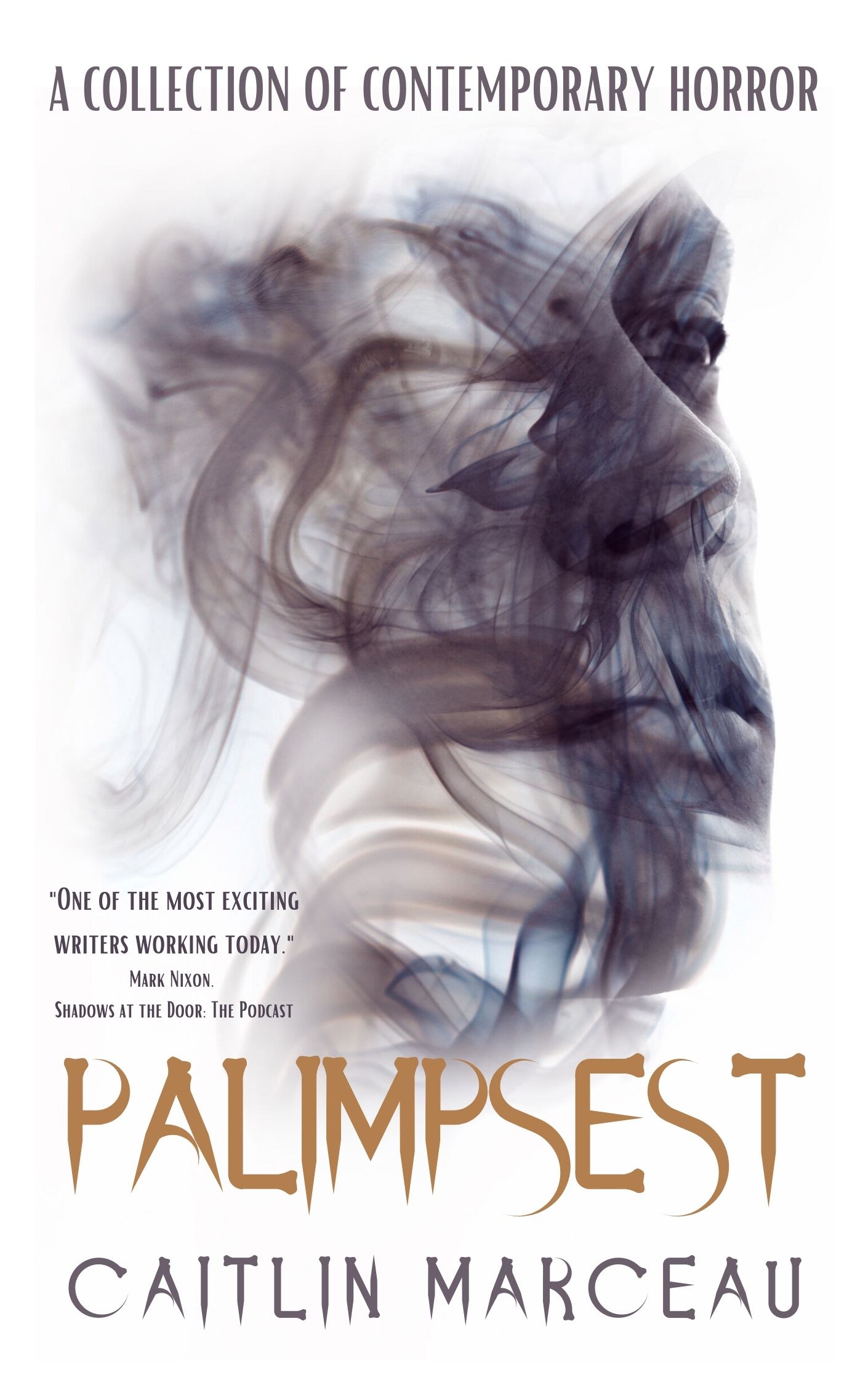 Palimpsest: A Collection of Contemporary Horror