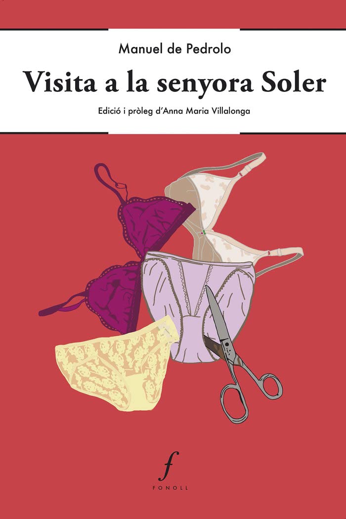 Visita a la senyora Soler (Paperback)