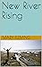 New River Rising by Mary Fleming