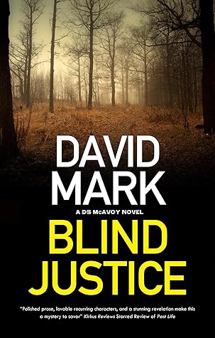 Blind Justice (A DS McAvoy Novel Book 10)