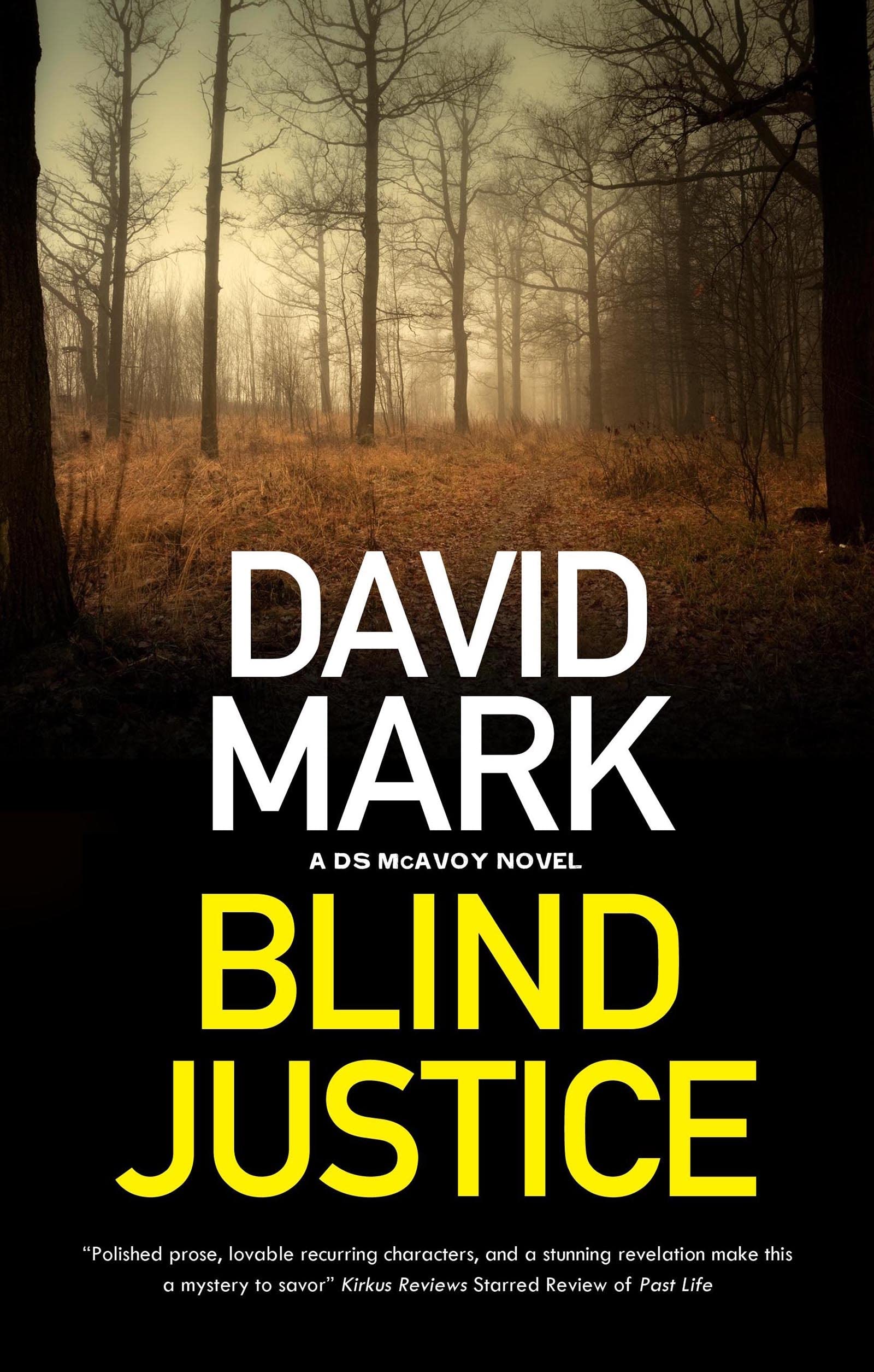 Blind Justice (DS Aector McAvoy #10)