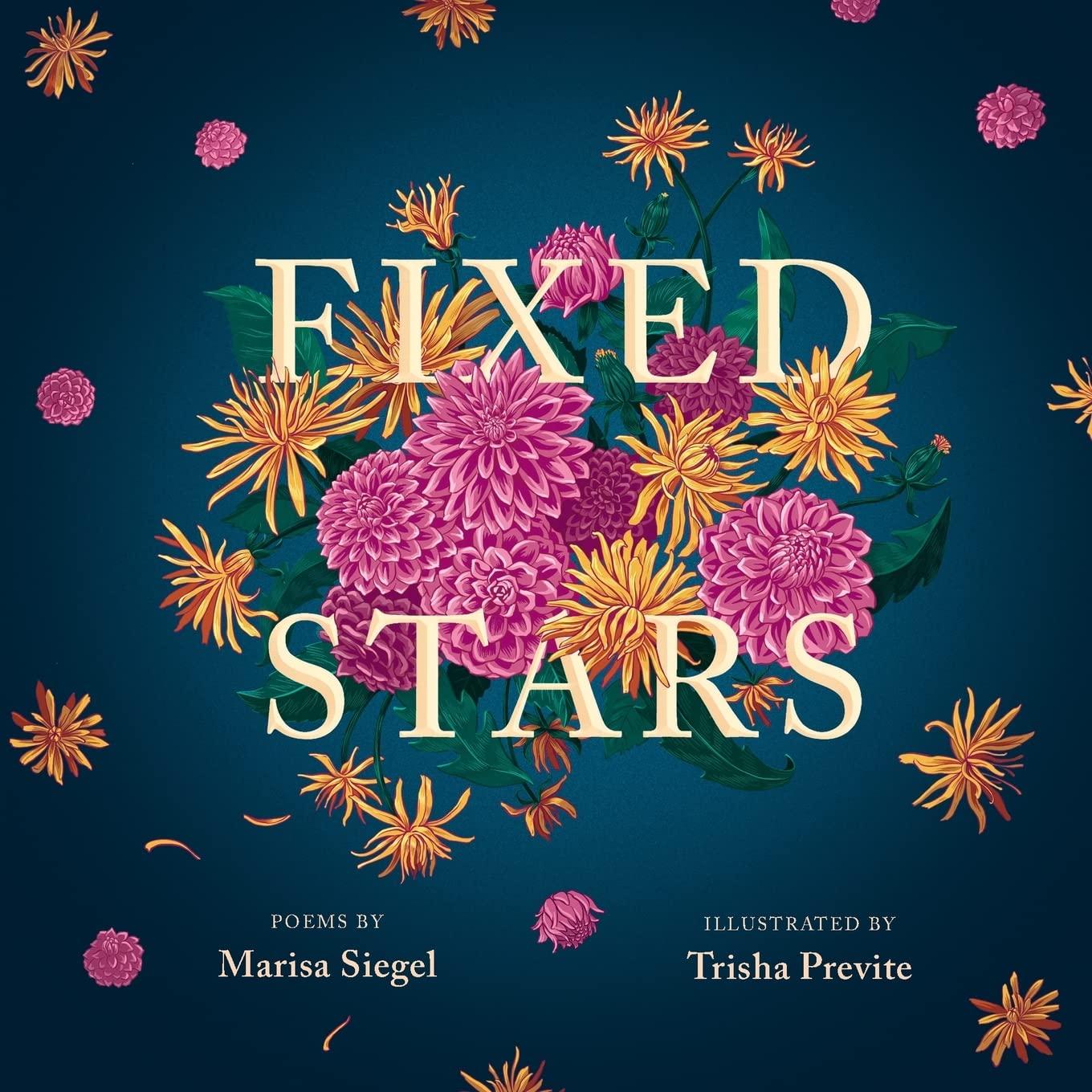 Fixed Stars (Paperback)