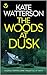 The Woods at Dusk (Detective Chris Bailey, #2)