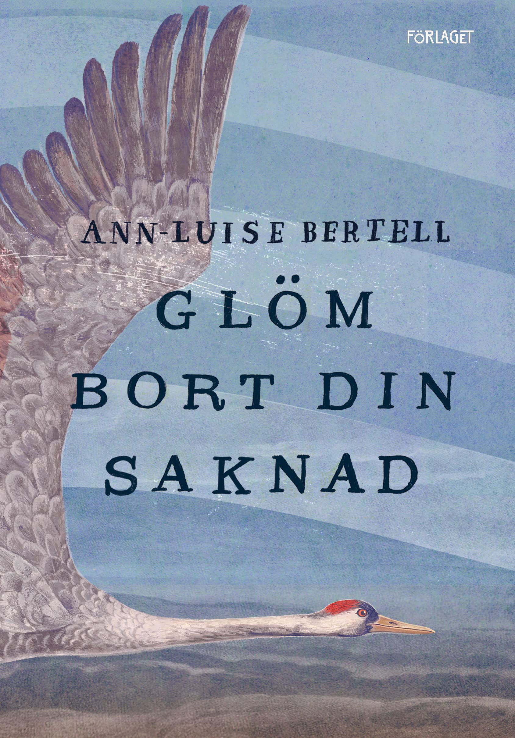 Glöm bort din saknad (Hardcover)