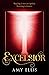 Excelsior by Amy Ellis