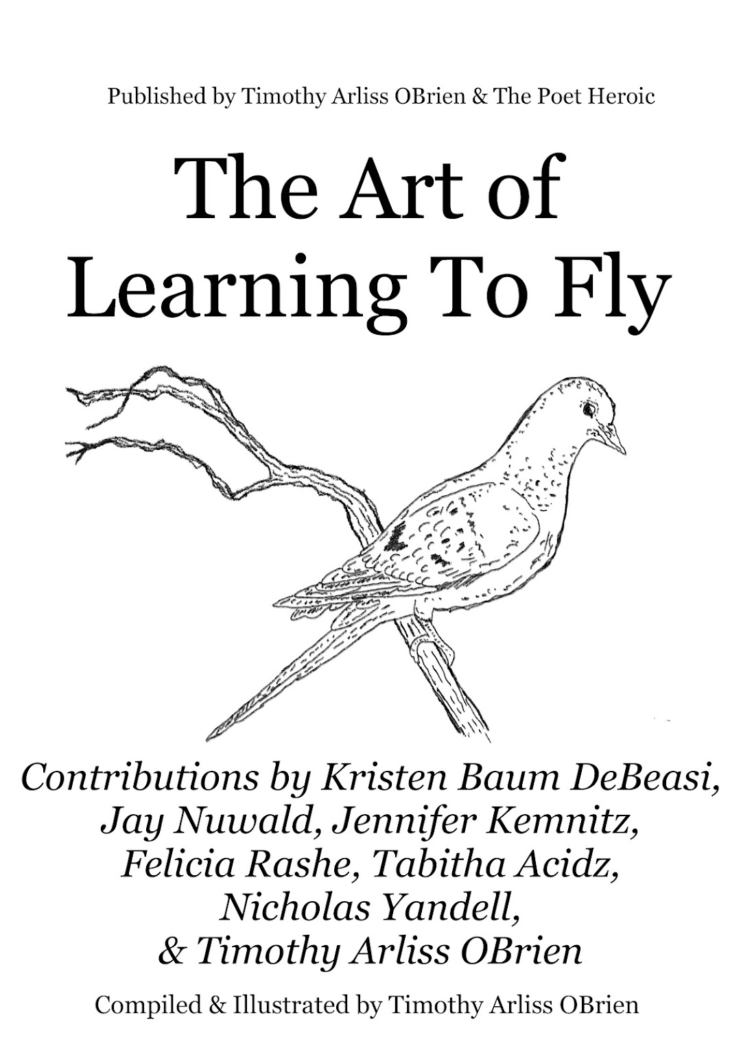 The Art of Learning to Fly