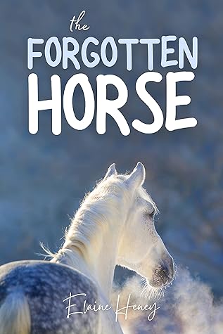 The Forgotten Horse - Book 1 in the Connemara Horse Adventure Series for Kids. (Connemara Adventures)