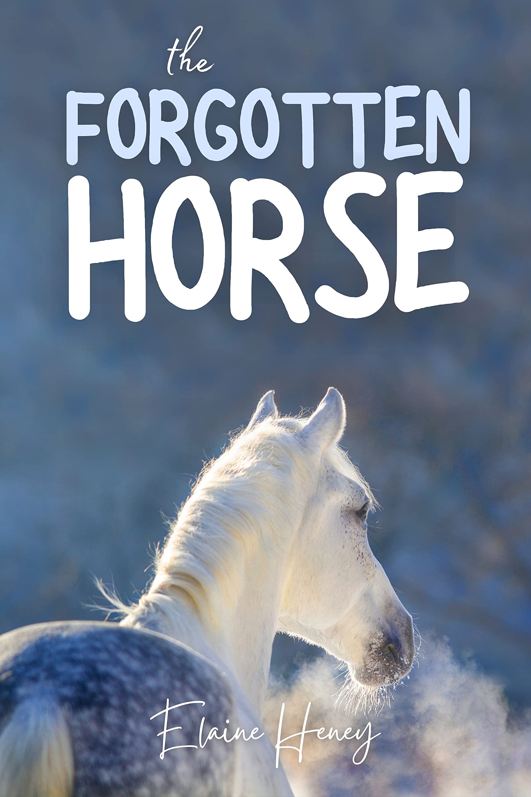The Forgotten Horse - Book 1 in the Connemara Horse Adventure Series for Kids. (Connemara Adventures)