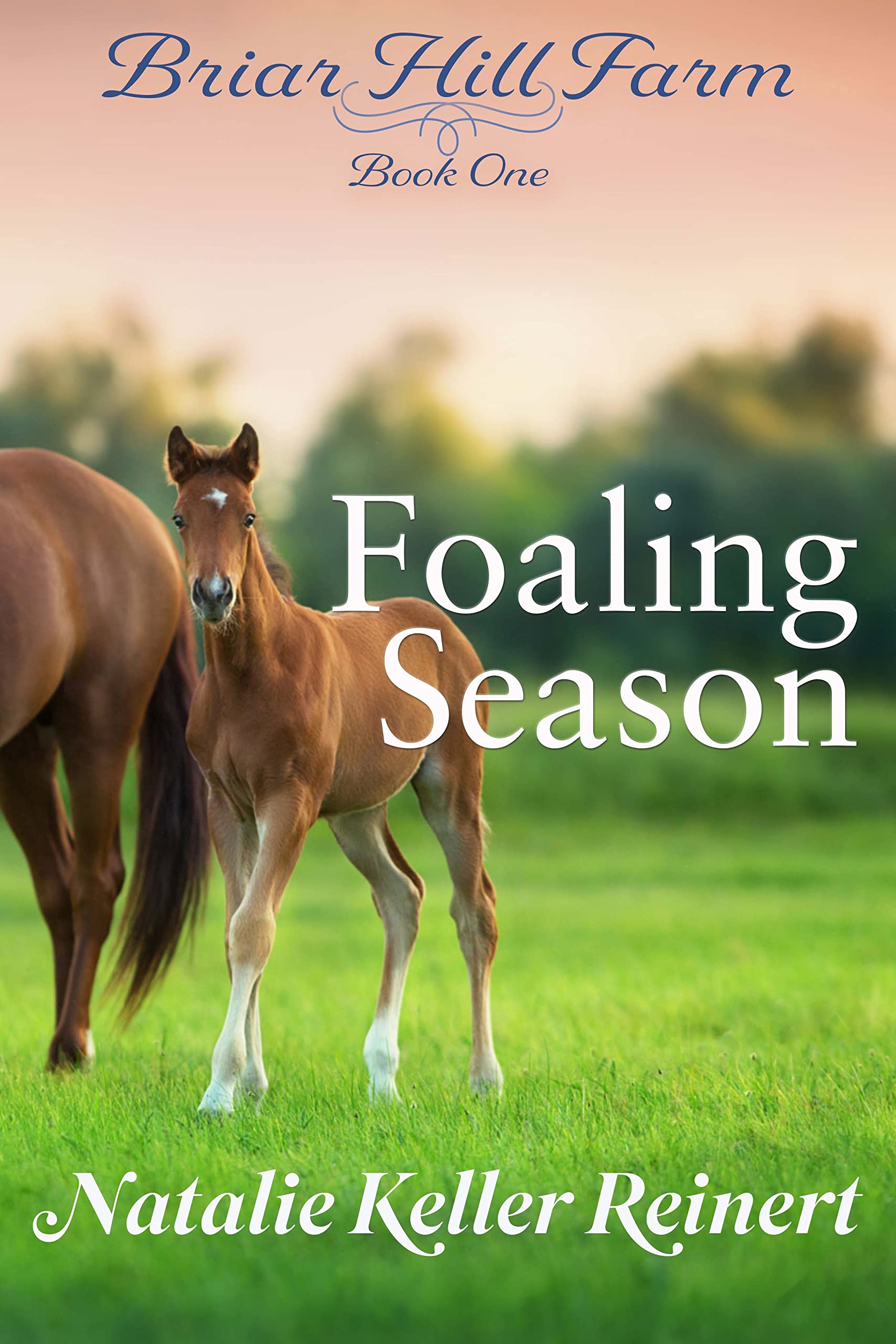 Foaling Season (Briar Hill Farm #1)