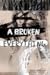 A Broken Everything
