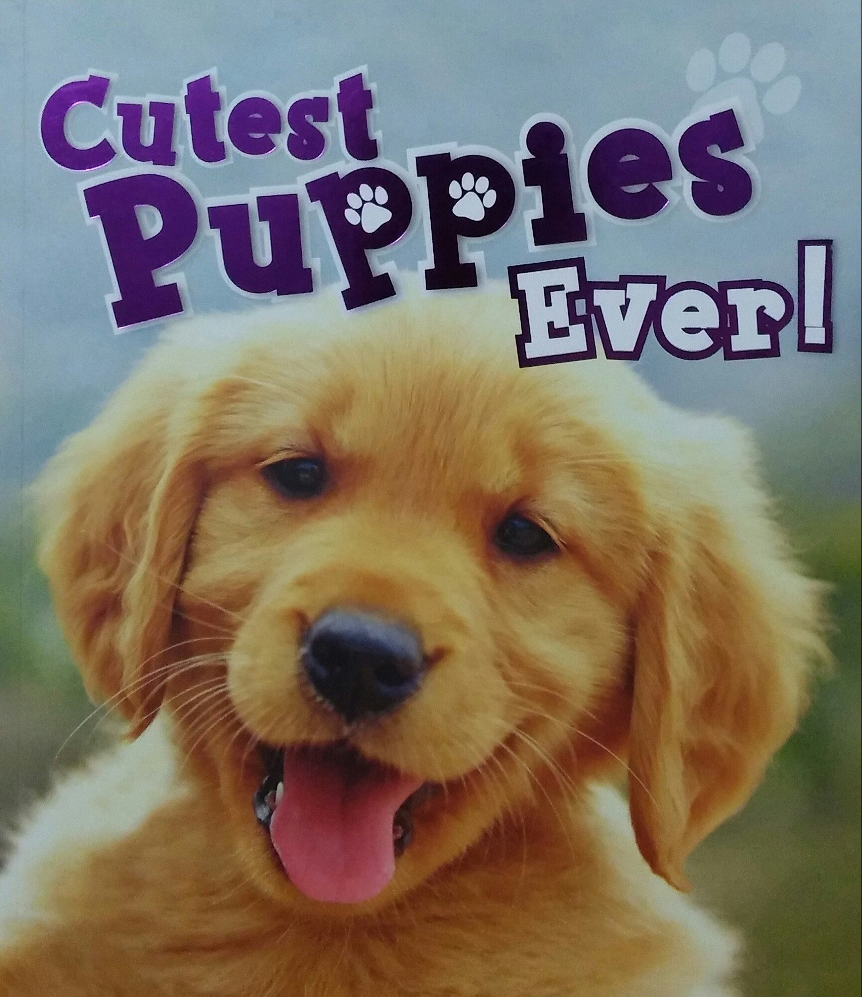 Cutest Puppies Ever (Paperback)