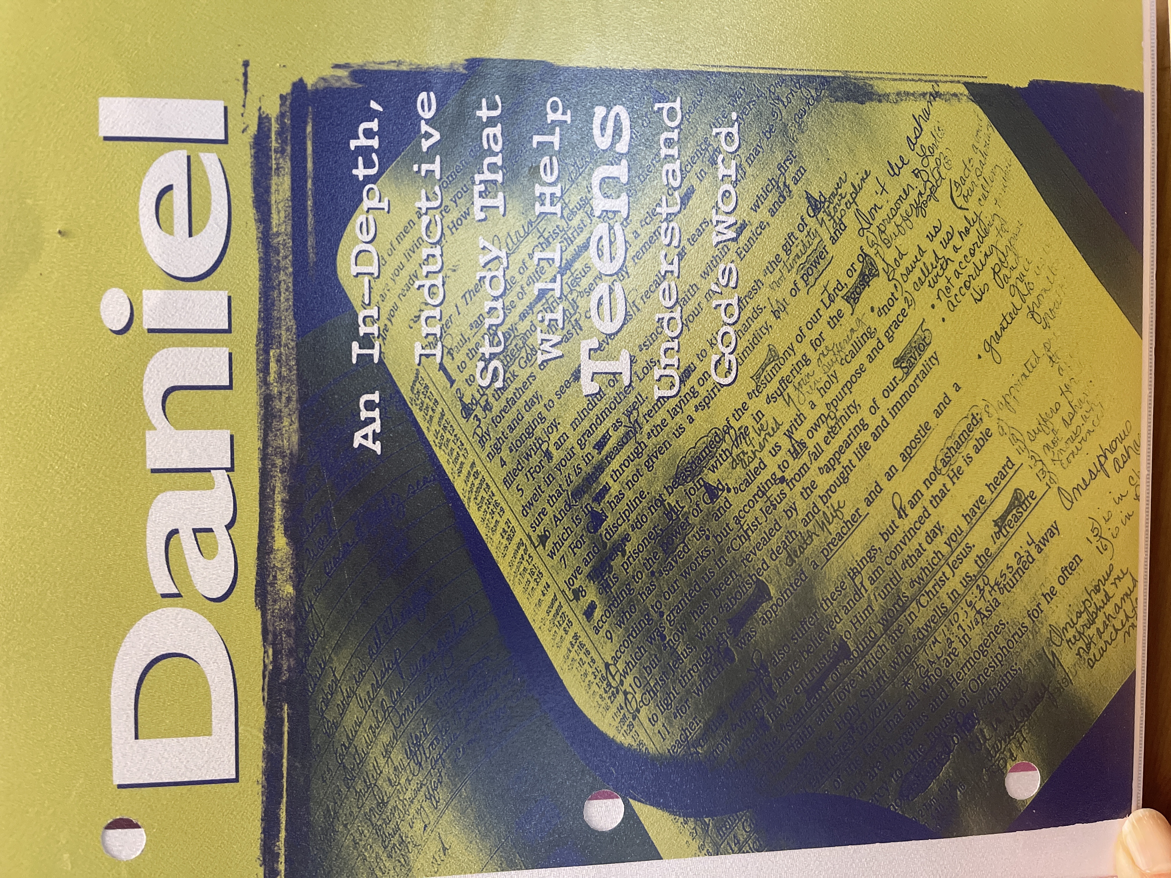 Daniel An In depth Inductive Study That Will Help Teens (Paperback)