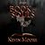 The Book of Souls (Souls, #1)