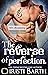 The Reverse of Perfection (Bad Decisions, #2)