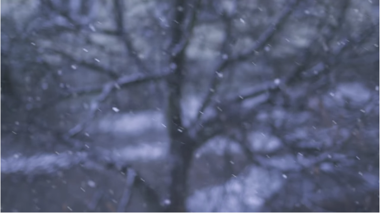 .The Howler | A Horror Story (Unknown Binding)