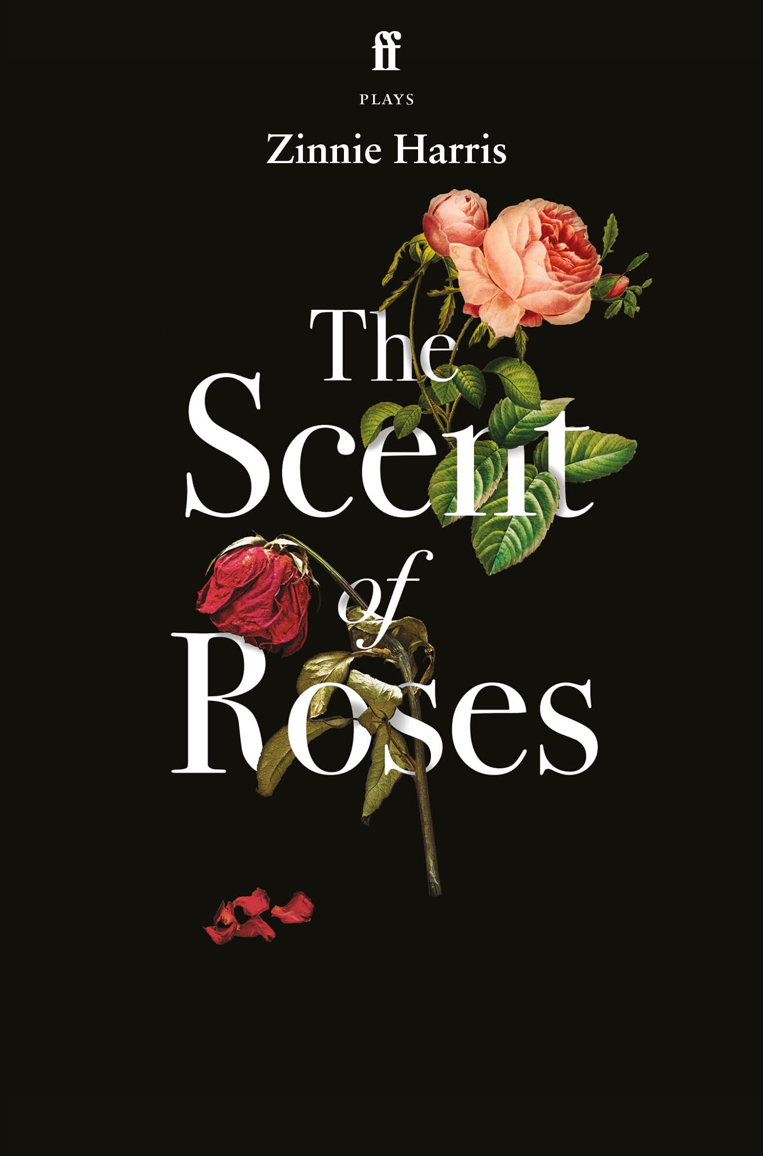 The Scent of Roses (Paperback)