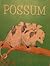 Possum