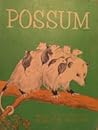 Possum by Robert M. McClung