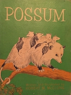 Possum (Hardcover)