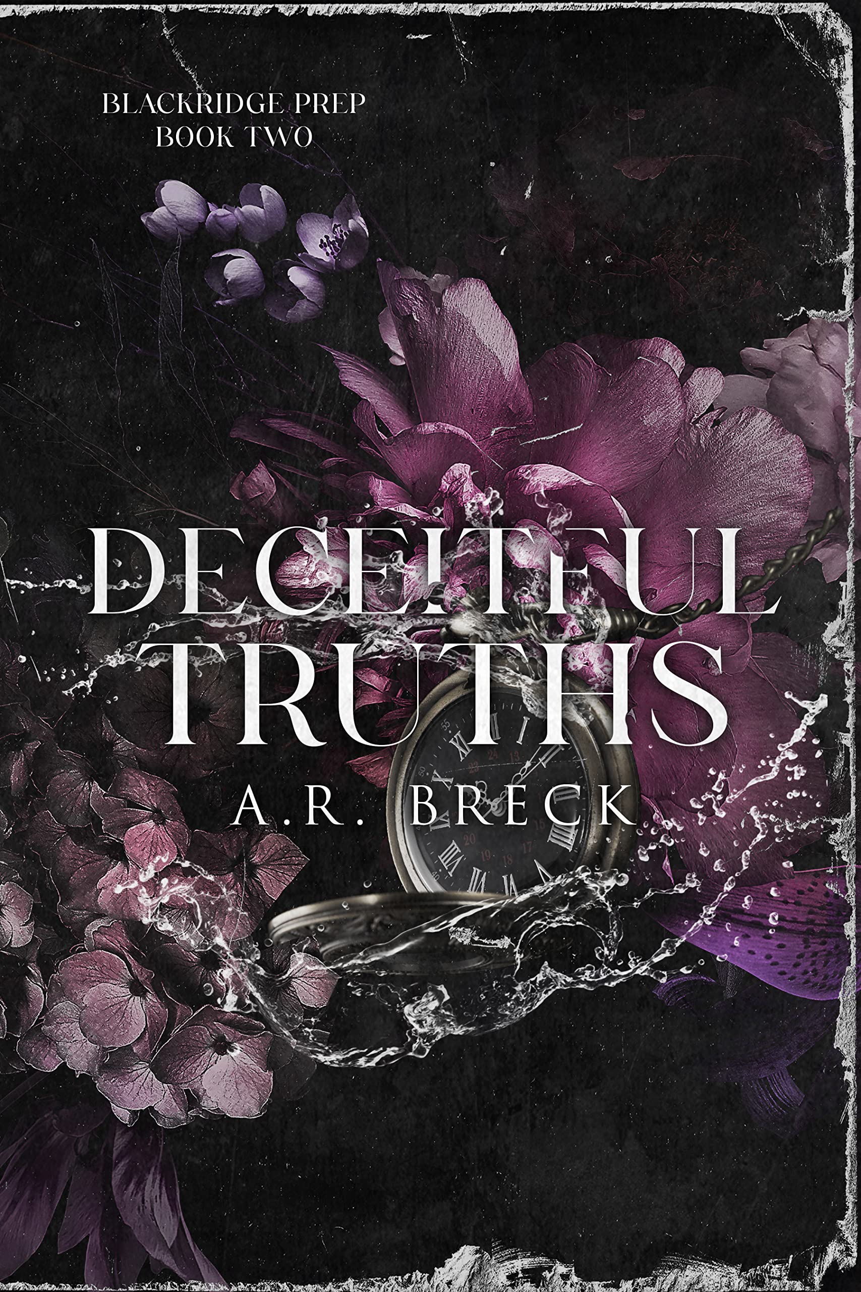 Deceitful Truths (Blackridge Prep, #2)