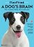 PawPrint A Dog's Brain: How Canines Think, Feel and Learn