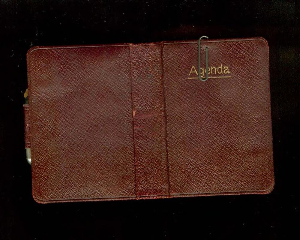 The Diaries of Elinora Reynolds Quigley: 1916 (Hardcover)