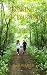 Running For Everyone by Flick Merauld